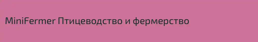 MiniFermer Птицеводство и фермерство